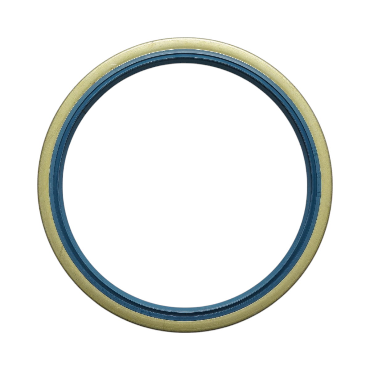 Guarnizione ruota anteriore 145x170x13 Fiat, Same, Massey Ferguson, Deutz, New Holland, Hurlimann 395527X1, 40000480, M395527, 2.1529.038.0, 215290380, 455596, 12011373, VPJ2836, 6408-5