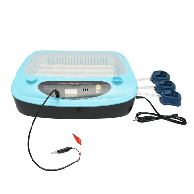 Incubatrice automatica 24 uova 75W, 12V-220V con rotazione automatica, controllo temperatura e umidità, display digitale