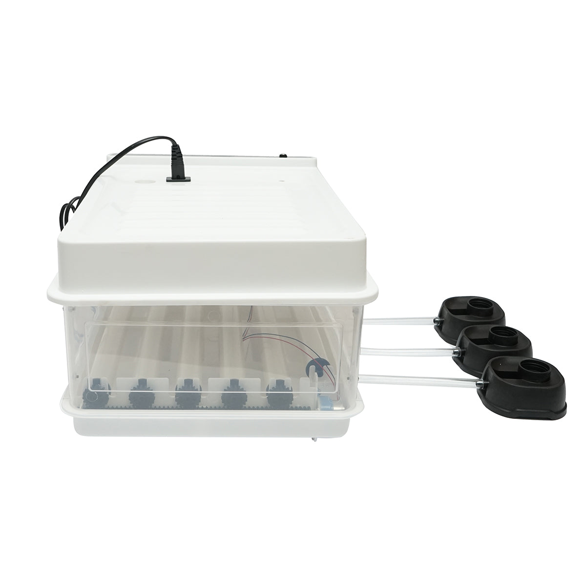 Incubatrice automatica 30 uova 50W, 12V-220V con rotazione automatica, controllo temperatura e umidità, display digitale - immagine 6