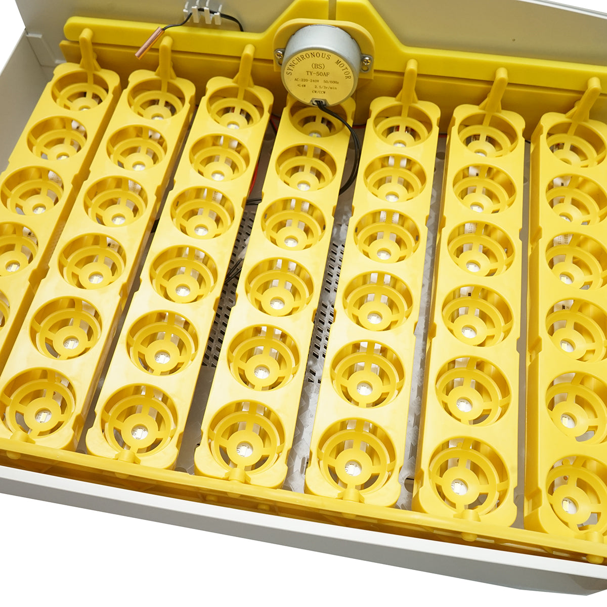 Incubatrice automatica per 32 uova, 220V, rotazione automatica, controllo della temperatura e umidità, display elettronico, vassoio illuminato a LED - immagine 5