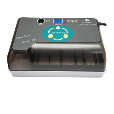 Incubatrice per uova automatica 12 uova EW9-12 Breckner Germany