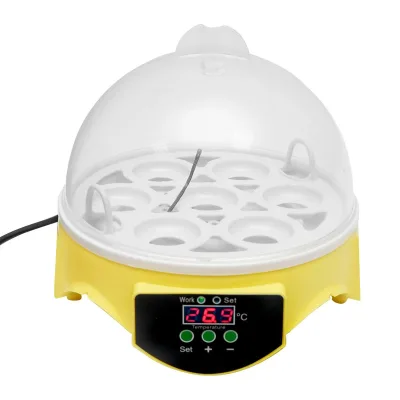 Incubatrice per uova incubatrice 7 uova