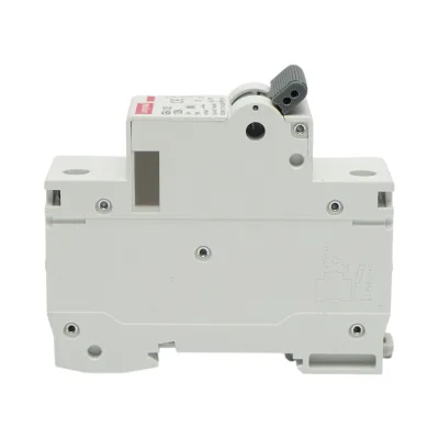 Interruttore automatico MCB 1P, 125A 240VAC, 6kA Longroad - immagine 3