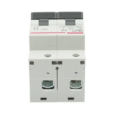 Interruttore automatico MCB 2P, 125A 415VAC, 6kA Longroad - immagine 4