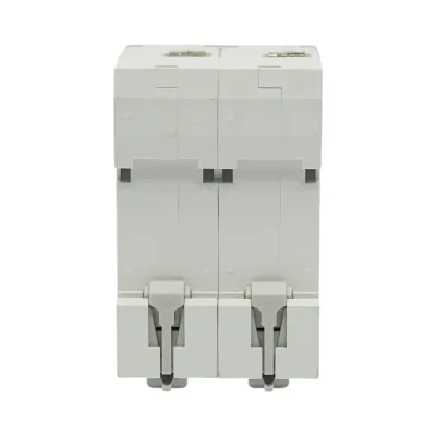 Interruttore automatico MCB 2P, 125A 415VAC, 6kA Longroad - immagine 5