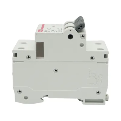 Interruttore automatico MCB 2P, 125A 415VAC, 6kA Longroad - immagine 3