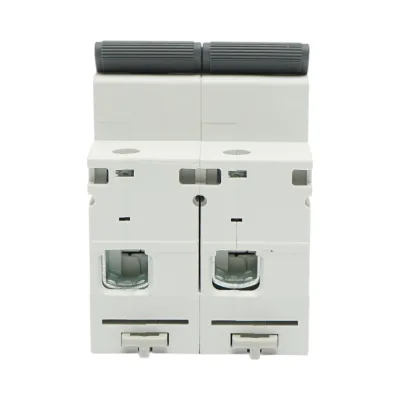 Interruttore automatico MCB 2P, 125A 415VAC, 6kA Longroad - immagine 2