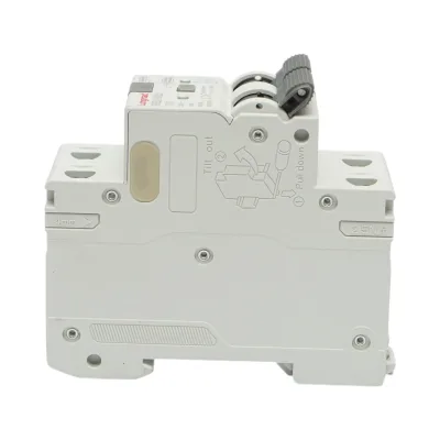 Interruttore automatico tipo 1+N, 10A 230VAC Longroad - immagine 4
