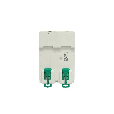Interruttore automatico tipo 2P, 100A 400V, 4,5kA Suntree - immagine 2