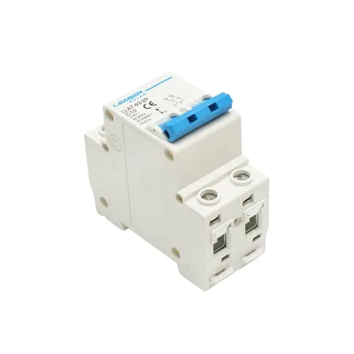 Interruttore automatico tipo 2P-10A-415VAC Leader - immagine 4