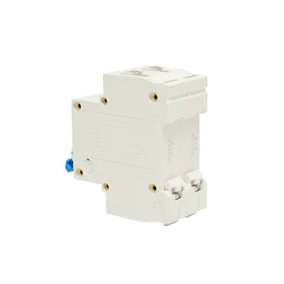 Interruttore automatico tipo 2P-10A-415VAC Leader - immagine 3