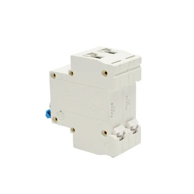 Interruttore automatico tipo 2P-16A-415VAC Leader - immagine 3