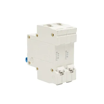 Interruttore automatico tipo 2P-20A-415VAC Leader - immagine 3