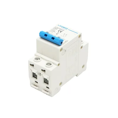 Interruttore automatico tipo 2P-32A-415VAC Leader - immagine 4