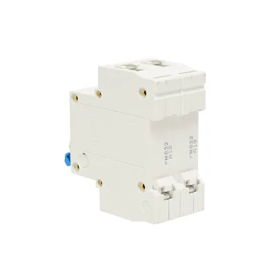 Interruttore automatico tipo 2P-32A-415VAC Leader - immagine 3