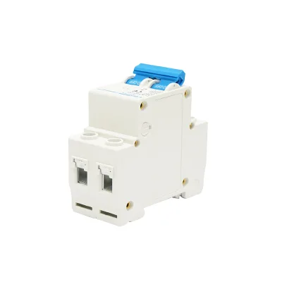 Interruttore automatico tipo 2P-40A-415VAC Leader - immagine 4