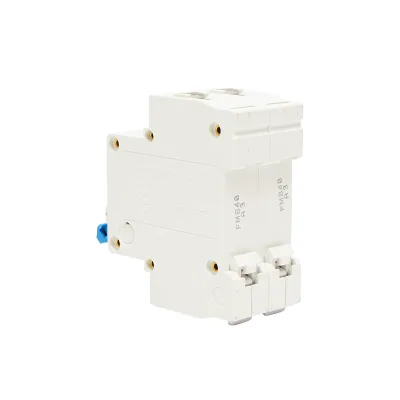 Interruttore automatico tipo 2P-40A-415VAC Leader - immagine 3