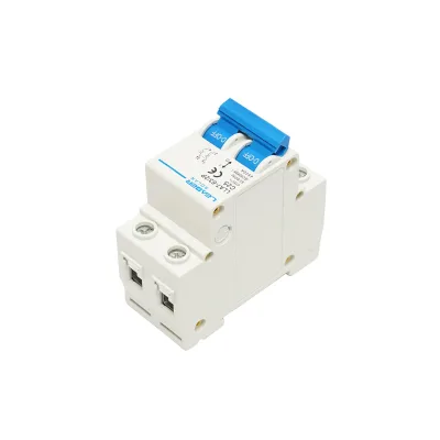 Interruttore automatico tipo fusibile 2P-32-25A-415VAC Leader - immagine 4