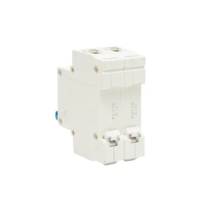Interruttore automatico tipo fusibile 2P-32-25A-415VAC Leader - immagine 3