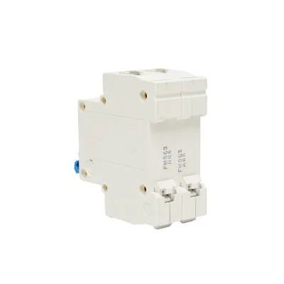 Interruttore automatico tipo fusibile 2P-63A-415VAC Leader - immagine 3