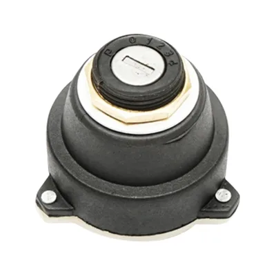 Interruttore di accensione a 7 poli con chiavi, filetto 26 mm, per John Deere, Deutz, Case IH, codici OEM: AL19890, AL35864, 01171411, 01171441, 01171442, 3136852R1, 50770567073, 59233R, VPF3255, 950-18 - immagine 2