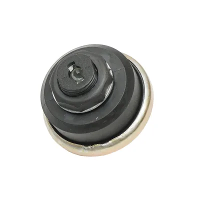 Interruttore di accensione e luci con chiave, 12V fi 59mm, filettatura di montaggio 21mm per UTB U-445 OEM 6220.000 - immagine 4