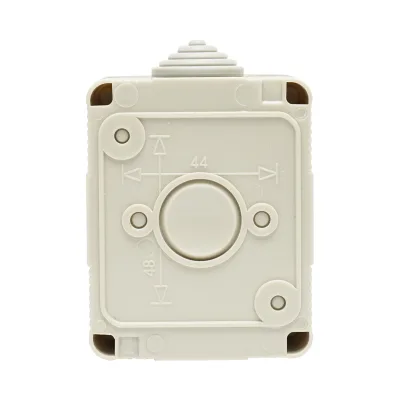 Interruttore doppio PT esterno IP55, 10AX, 250V - immagine 2