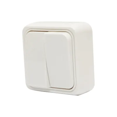 Interruttore doppio PT, 10AX, 250 V - immagine 3
