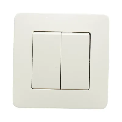 Interruttore doppio, bianco, da incasso, 220V, 10AX, PC 80x80mm - immagine 2