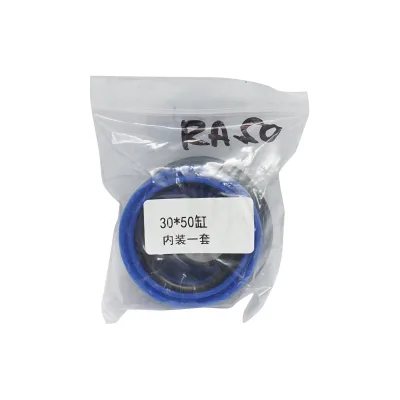 Kit di riparazione cilindro idraulico RA50 - immagine 2