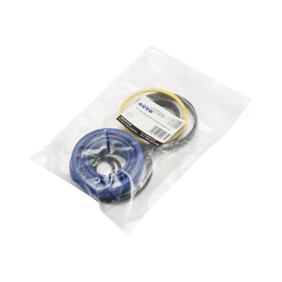 Kit di riparazione cilindro idraulico RA81 - immagine 2