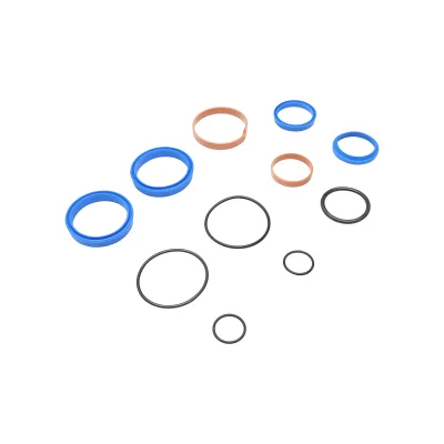 Kit di riparazione cilindro idraulico VA76 - immagine 2