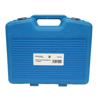 KIT TEMPORIZZAZIONE MOTORE REGOLAZIONE MESSA IN FASE ALBERO A CAMME Kit messa in fase Alfa Romeo, Fiat, Lancia 63 pezzi - immagine 2