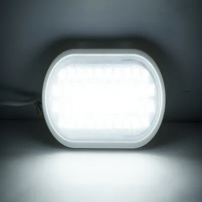 Lampada da parete ovale a LED 18W, 220V, IP65 per interni/esterni 270x140mm Luce fredda - immagine 5