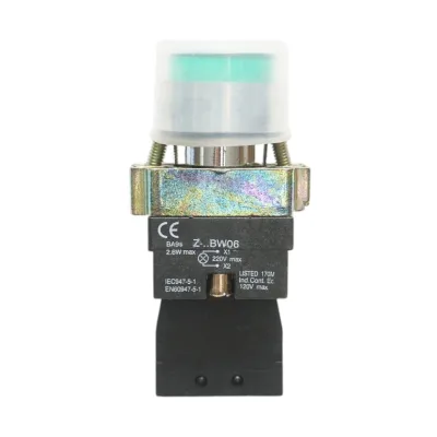 Lampada di segnalazione con alimentazione diretta verde e protezione 1NO, 220V, IP65, LAY5 Breckner Germany