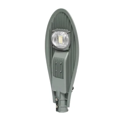 Lampada LED con attacco palo per illuminazione stradale 220V/50W temperatura colore 6500K