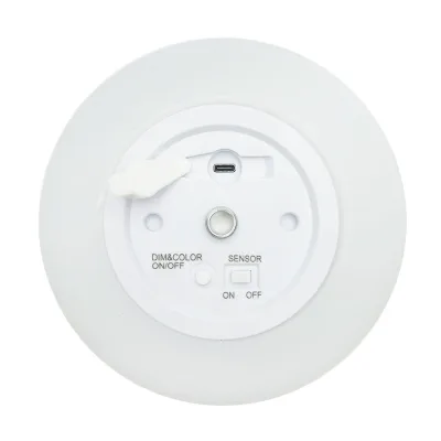 Lampada solare LED ricaricabile 2W con pannello solare 0,7W, batteria 3,7V 1200mAh, USB 5V 1A, IP65, per esterni, 3000K, colore oro - immagine 5