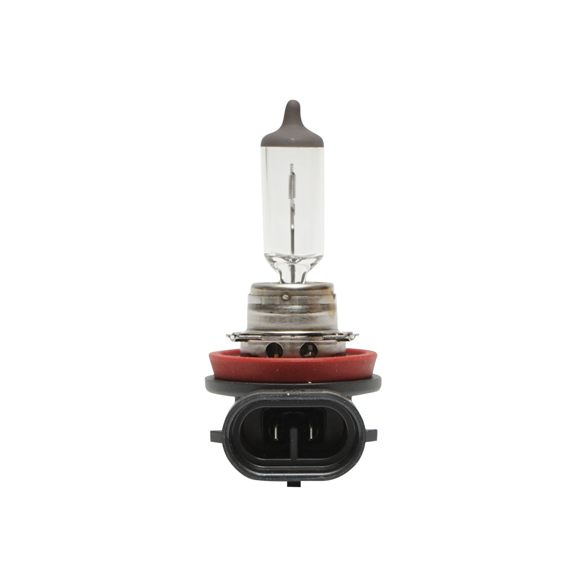 Lampadina alogena (Osram) H11 12V 62W PGJ19-2 - immagine 3