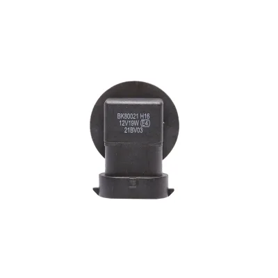 Lampadina H16 19W proiettore Logan II 262923820R - immagine 4