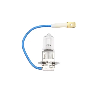 Lampadina H3 12V 55W