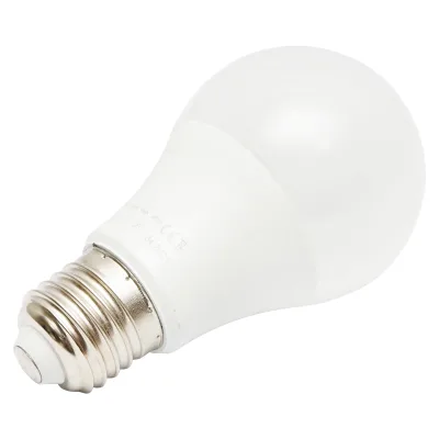Lampadina LED 7W 220V E27