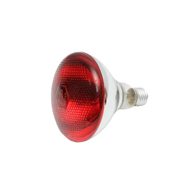 Lampadina riscaldante a infrarossi per polli, animali E27, 175W, 230V - immagine 3
