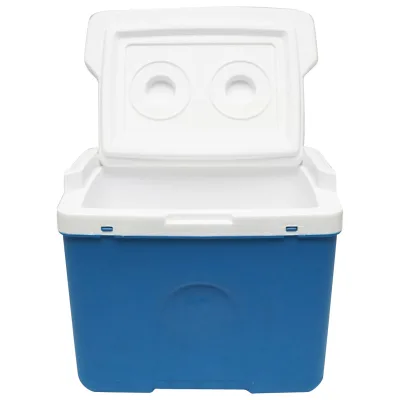 Mini frigorifero per picnic da 7.5L, blu, 305x240x250mm, Breckner Germany - immagine 3