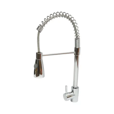 Miscelatore lavello cucina con doccetta estraibile, flessibile 2 funzioni, cromato lucido