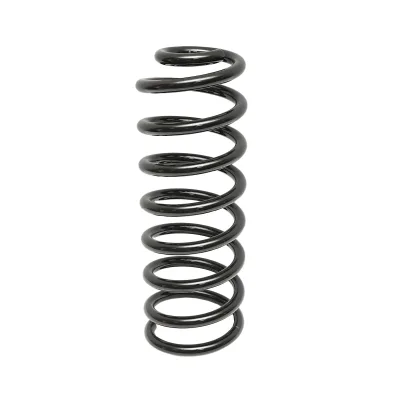 Molla posteriore Dacia Logan 6001547493