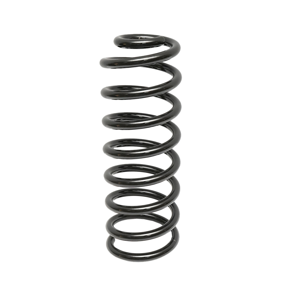 Molla posteriore Dacia Logan 6001547493