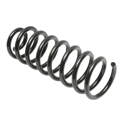 Molla posteriore Dacia Logan 6001547493 - immagine 2