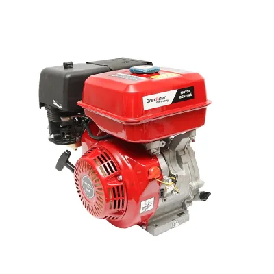 Motore a benzina 9 CV, 4 tempi 242CV, Motore a Scoppio con Albero cilindrico scanalato Ø 25 mm e, Avviamento a Strappo Breckner Germany - immagine 3