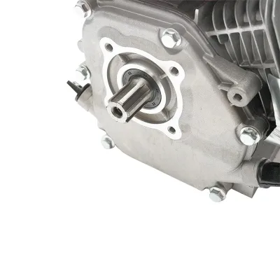 Motore a Scoppio 7.5 CV, Motore a Benzina 4 Tempi 196cc con Albero cilindrico scanalato Ø 25 mm e, Avviamento a Strappo Breckner Germany - immagine 5