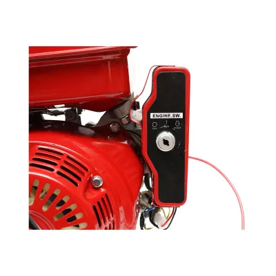 Motore a Scoppio 9 CV 242cc, Motore a Benzina 4 Tempi con Albero Ø 25 mm, Avviamento Elettrico e Avviamento Strappo bateria 12V/17Ah inclusa Breckner Germany - immagine 5